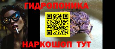 прущие грибы Анжеро-Судженск