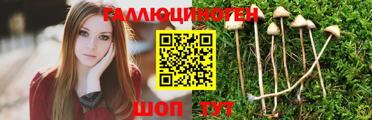 Кстово  Галлюциногенные грибы ЛСД  Вход с VPN 